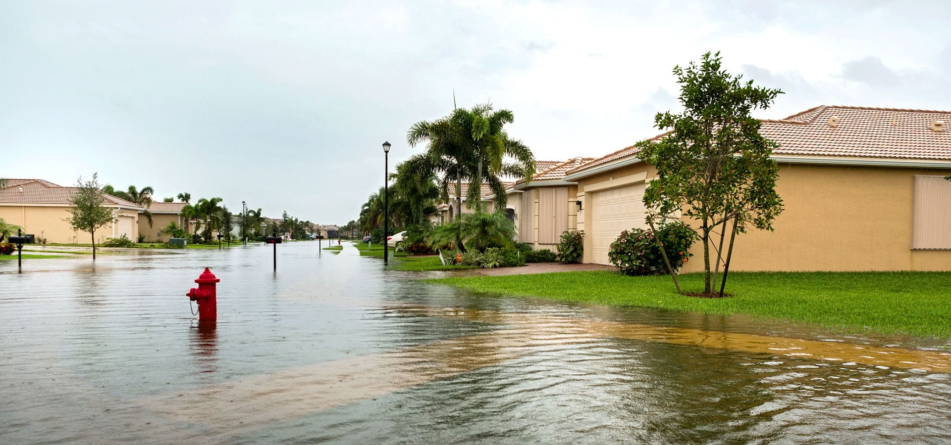 A flooded street with palm trees and houses in the background.